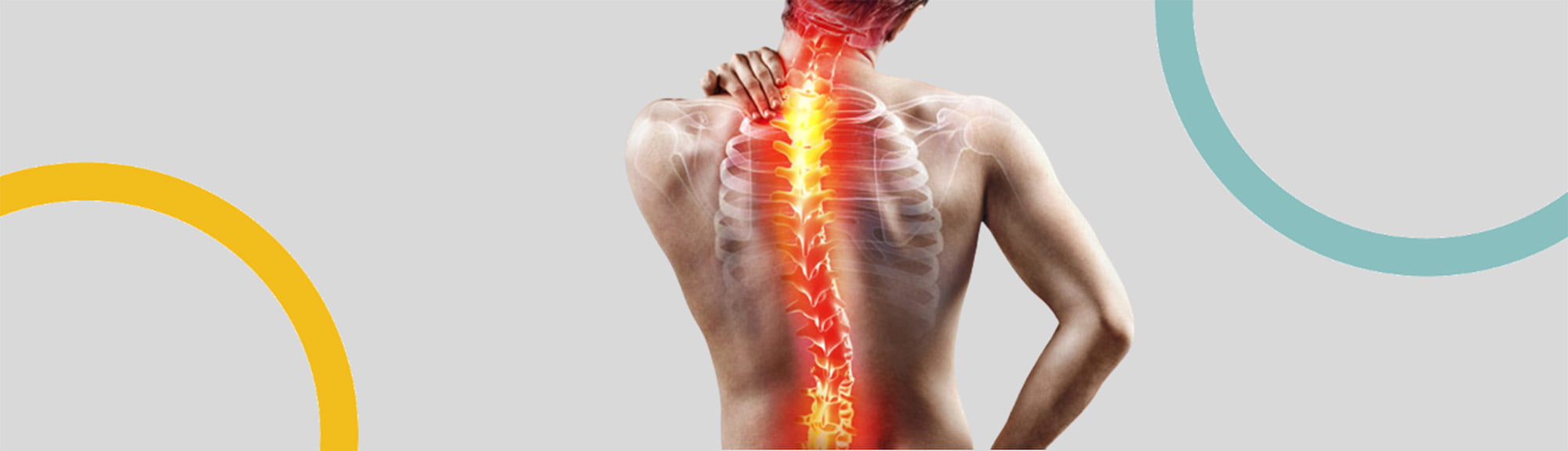 Spine